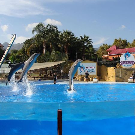 Minerva Paradise Benalmadena Bagian luar foto